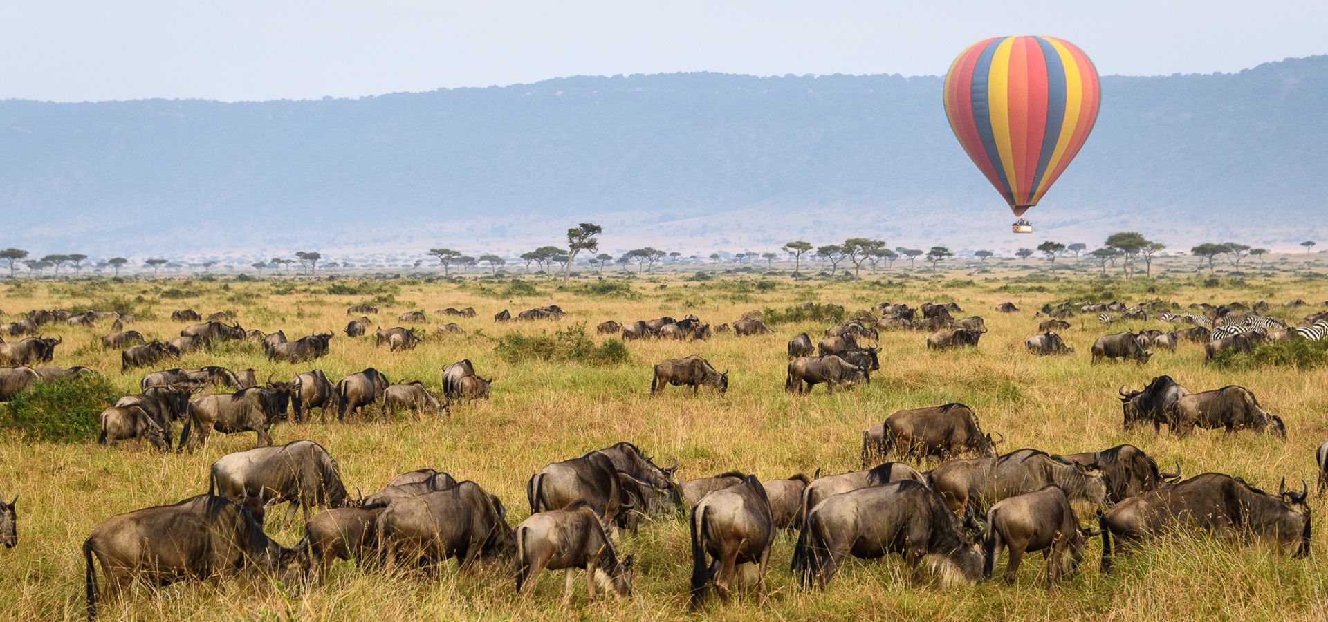 Maasai Mara balloon safari