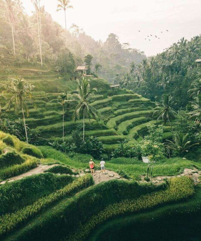 Bali Asia